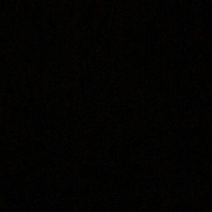 Meet your Posher, Freddy